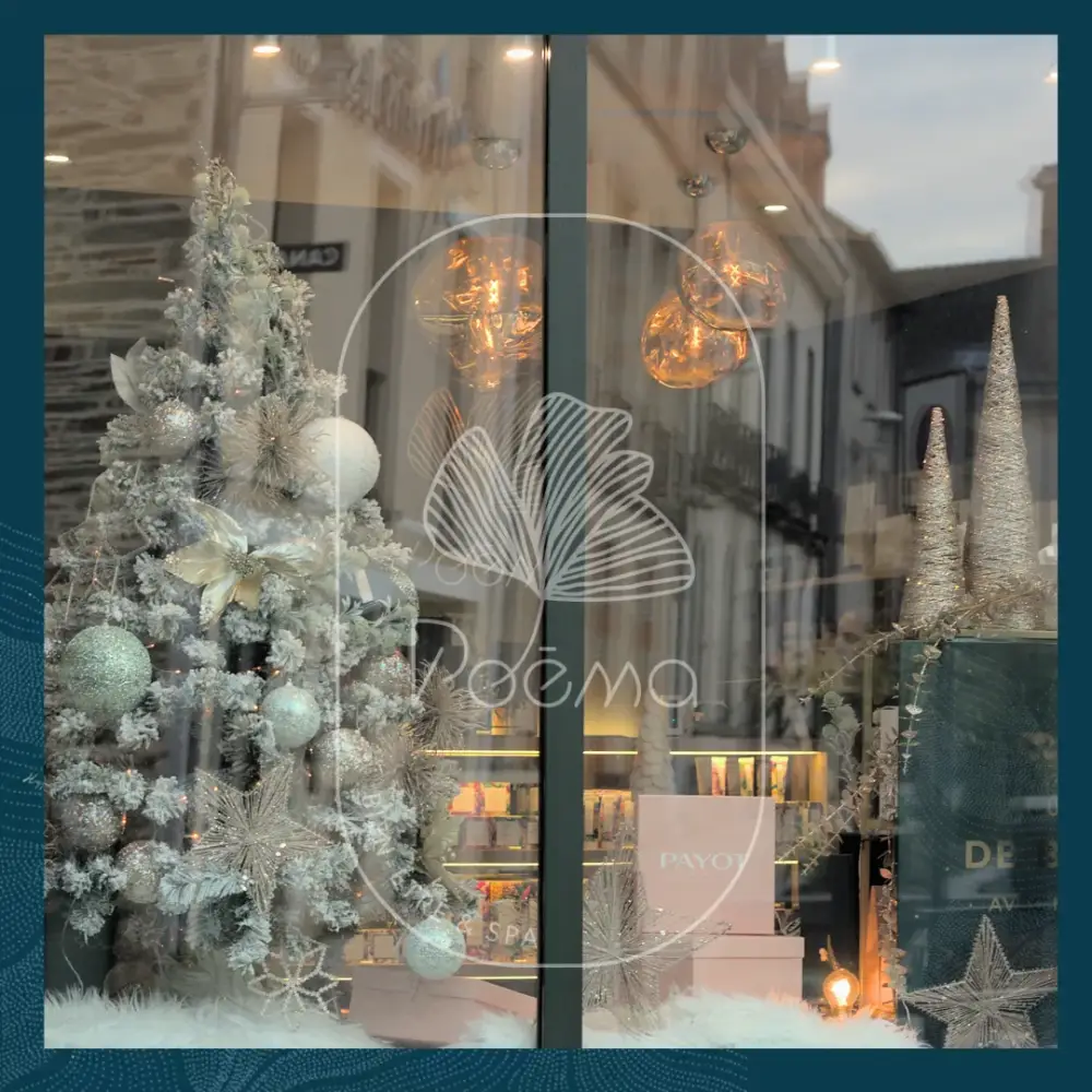 institut-Noel (8)